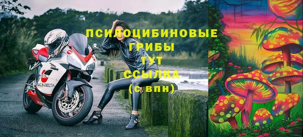 PSILOCYBIN Абинск