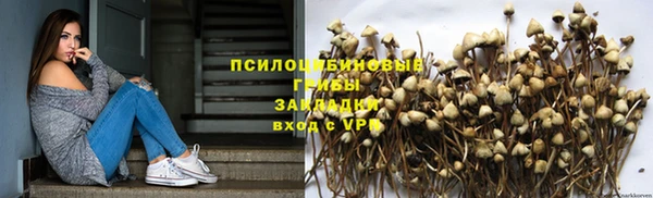 дурь Алексеевка
