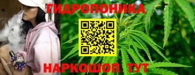 молекула духа Можга