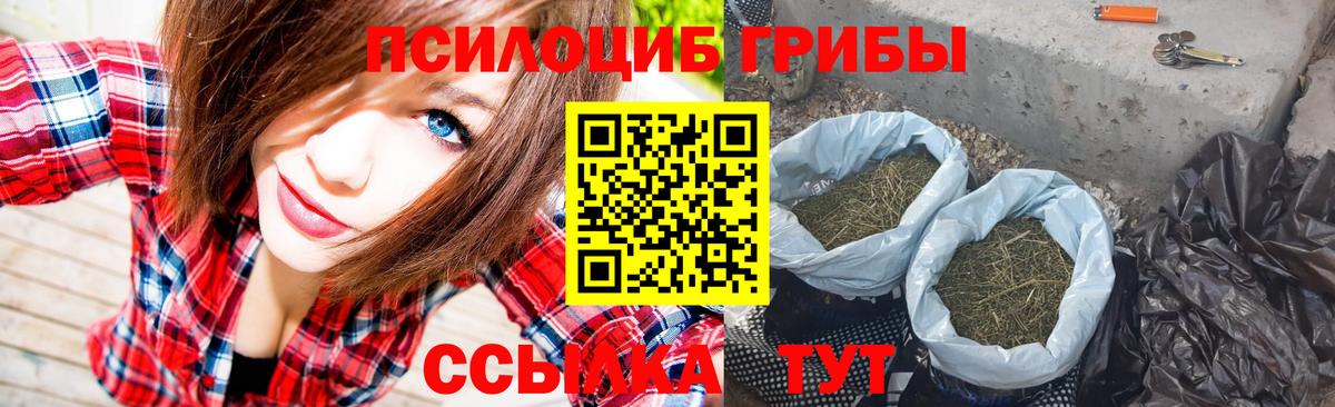 Псилоцибиновые грибы мицелий Оренбург